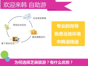 韓國首爾與釜山專業翻譯與軟件開發服務